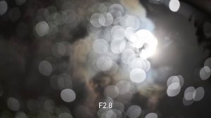 Canon RF 100mm F2.8 L IS Macro Review