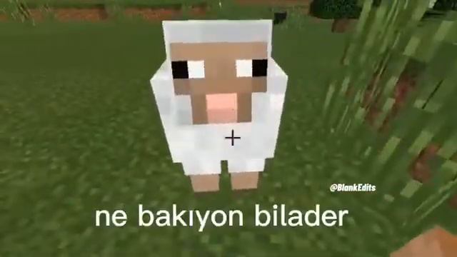 hayrı Minecraft oynuyor смотреть онлайн