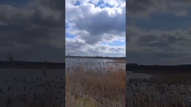 "Сколько людей не вернулось во имя тебя, Liberta..." смотреть онлайн