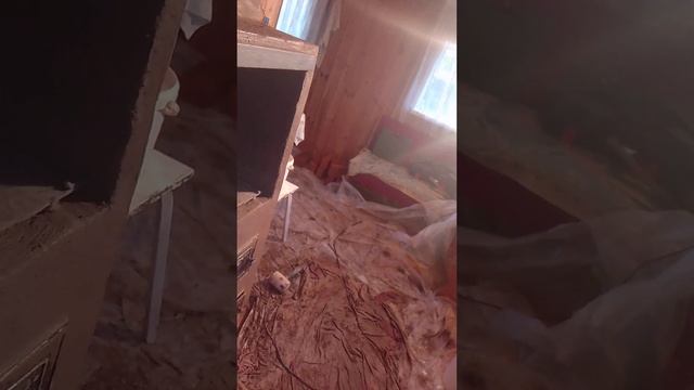 заявку для друзей смотреть онлайн