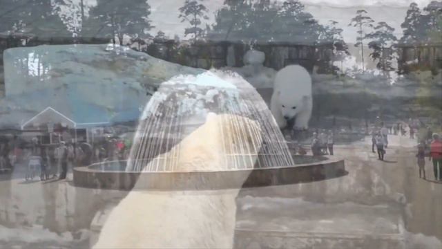 Новосибирск смотреть онлайн