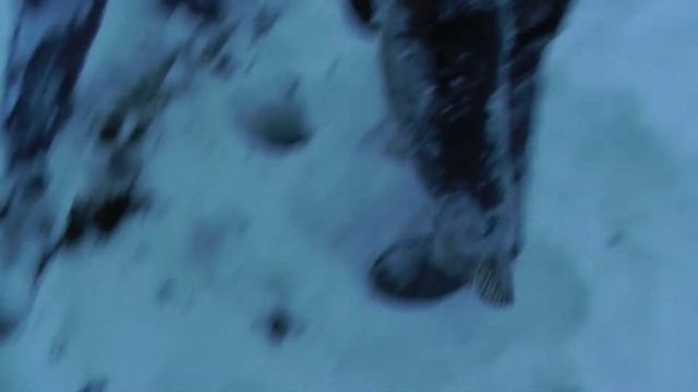Ловля щуки в ХМАО в начале марта в Кондинском районе ХМАО. Рыбалка на флажки. Зима. смотреть онлайн