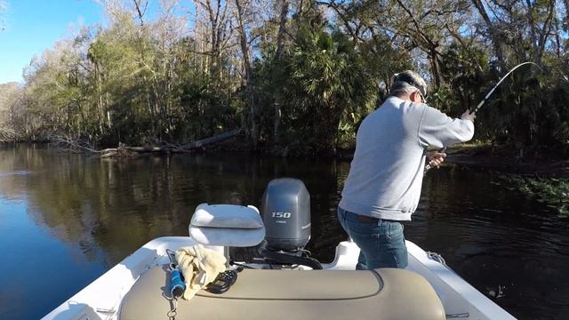 Trophy Bass Fishing On River Tributaries Using Wild Shiners смотреть онлайн