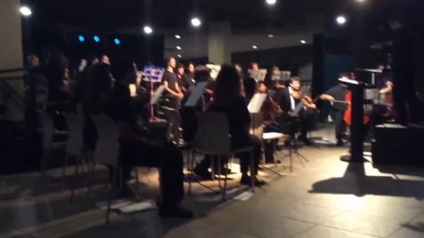 Megalovania Orchestra cover