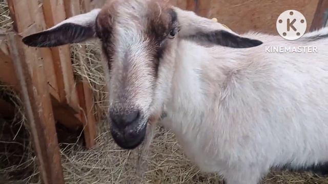 17 февраля 2023 г. смотреть онлайн