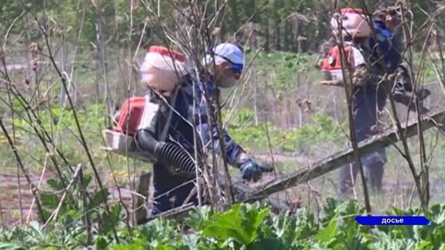 Новости "Волга -24" 31.05.2023 15:00