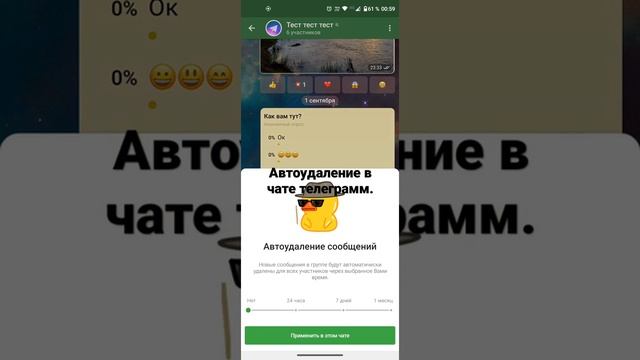 Как поставить автоудаление сообщений в группе телеграмм. Чаты телеграмм. смотреть онлайн