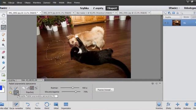 Photoshop Elements 13 PL – Zaznaczanie, czyli jak wyciąć element z obrazu смотреть онлайн