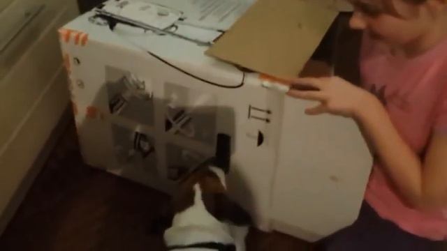 Собака_и_клизма смотреть онлайн