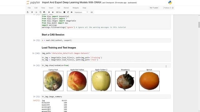 SAS Demo | Deep Learning with Python (DLPy) and SAS Viya смотреть онлайн