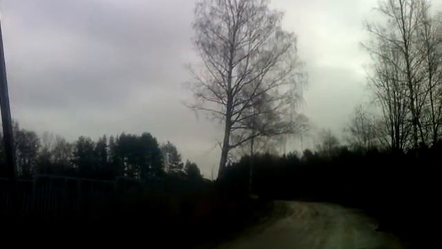 Спилить дерево 89052235353 смотреть онлайн