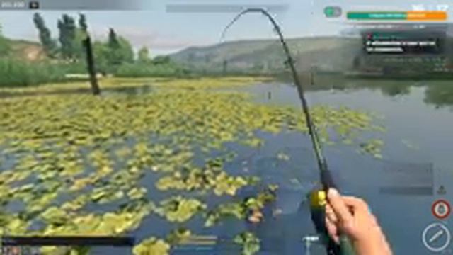 Fisher Online. Новая локация Казахстан озеро Жусымбай. Общение. смотреть онлайн