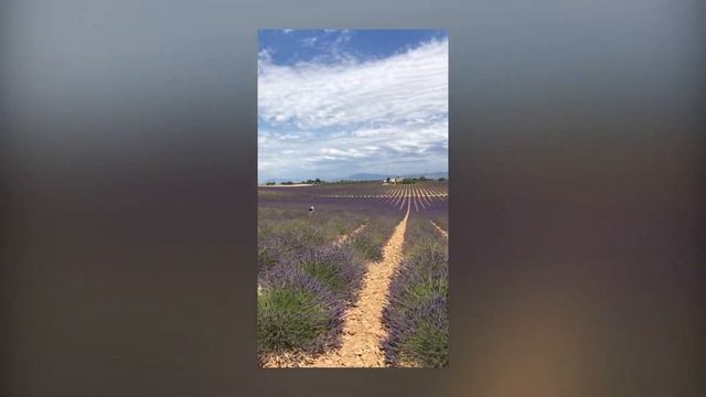 Provence-Alpes-Côte d'Azur Road trip смотреть онлайн
