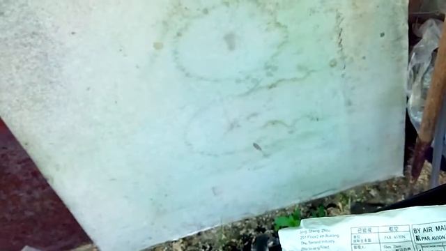 Обзор распаковка Очки защитные (велосипедные) смотреть онлайн