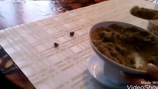 Черенкование осеннее роз смотреть онлайн