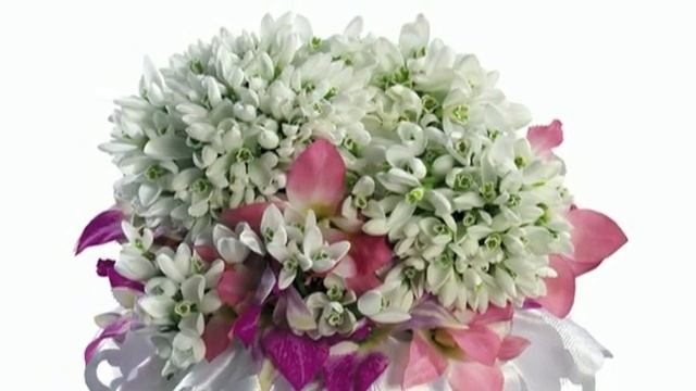 С днём рождения смотреть онлайн