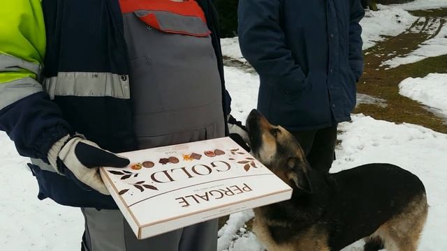 3-я свеча Адвенты. Домашние животные. Продолжение мечты!!! смотреть онлайн