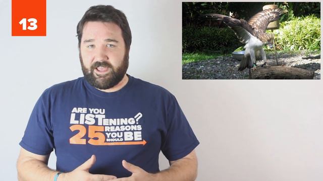 25 Endangered Animals We May Lose This Century смотреть онлайн