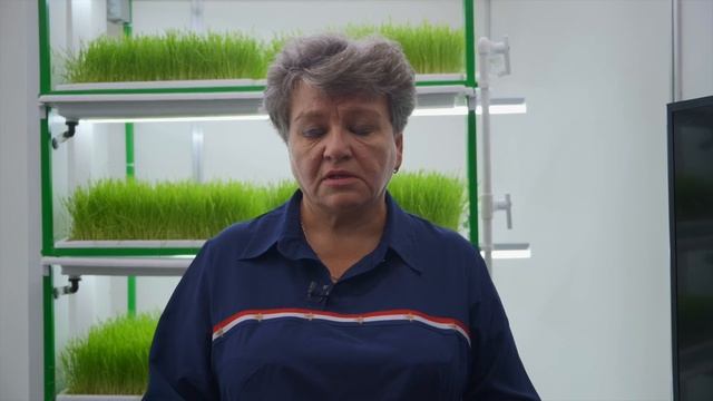Выращивание гидропонного зеленого корма (ГЗК) смотреть онлайн