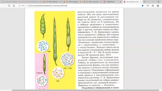 Подготовка к ЕГЭ: как преодолеть бесплодие у гибридов при отдалённой гибридизации (узнать за 6 мин) смотреть онлайн