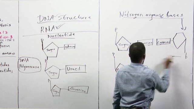 BIOLOGY LESSON[Exam Questions] Q5 смотреть онлайн