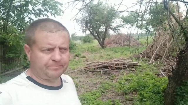 Первая постройка, временный туалет, выкарчевываю пни. смотреть онлайн