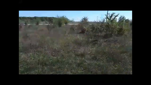 Село Новодмитриевская " цыгане шумною толпой" смотреть онлайн