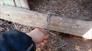 Как правильно сделать цепь для собаки - мои ошибки - прогулка с собакой - неожиданная находка