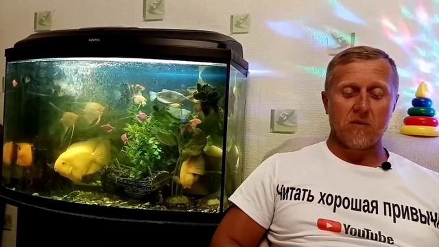 Корней Чуковский. Федорино горе смотреть онлайн
