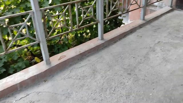 Требуется ремонт дома! смотреть онлайн