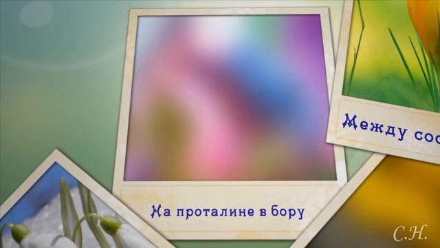 Весенняя музыка цветов.Цветочное поздравление для весенних именинников. смотреть онлайн