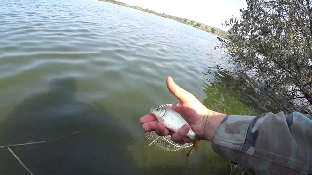 Африканский сом Клевая рыбалка смотреть онлайн