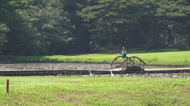 O Tannenbaum - Kumar de Silva collaborates with Neranjan de Silva смотреть онлайн