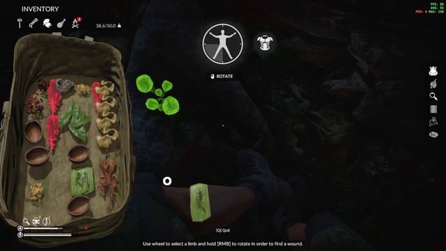 I Found Mia But Its Ritual | GREEN HELL AMAZONE KE JUNGLE IN HINDI #2 смотреть онлайн