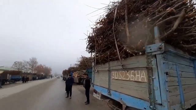 SAMARQAND VILOYATI URGUT TUMANI PIRAVDA  UTIN BOZORI NARXLARI? 08.12.2019