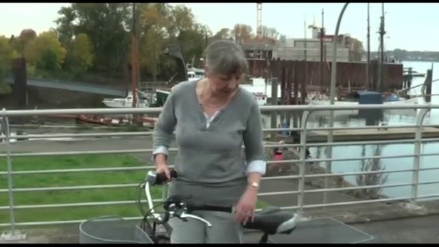 Velo-Trike SUN Bike EZ-20 смотреть онлайн
