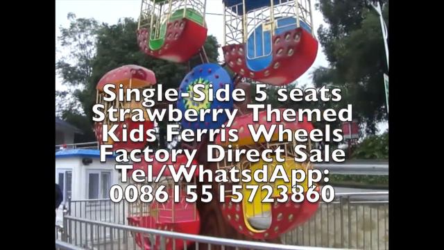 Single Side 5 Seats Strawberry Themed  Kids Ferris Wheels Factory Direct Sale@Rides4All