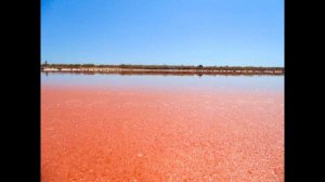 Озеро Мойнаки (Евпатория).