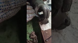 Замена подшипника на насосе гур Пассат б3 passat b3 1.8