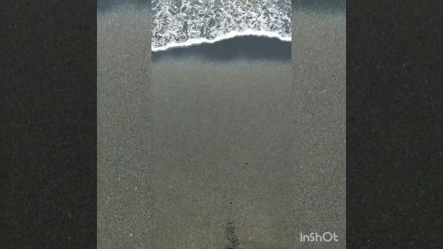 Отдых в Уреки , Грузия смотреть онлайн