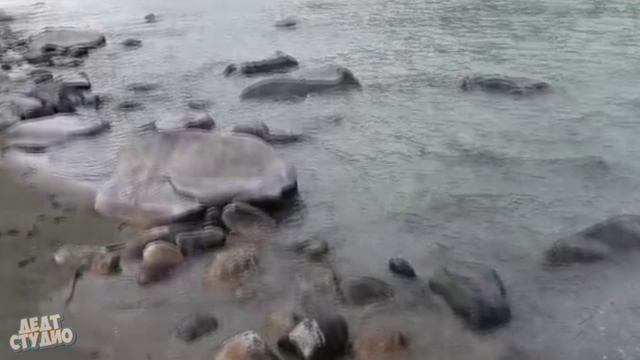 Заезд на 1 базу смотреть онлайн