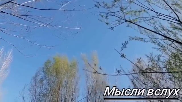 Севка Ад уехал и не закрыл курятник.Он всегда живет с Лешей)Пламенный привет Коле. смотреть онлайн