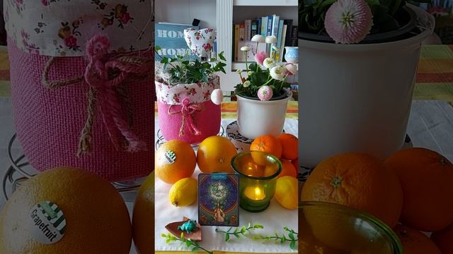 Shaman Oracle Reading for Gemini ♊ Chickweed - Start Fresh. смотреть онлайн