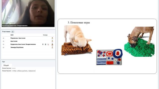 Ментальная нагрузка на собак смотреть онлайн