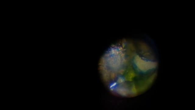 Всё, что ты хотел знать о маленьких белых цветах. смотреть онлайн