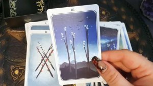 Анима Мунди Таро / Anima Mundi Tarot распаковка и обзор