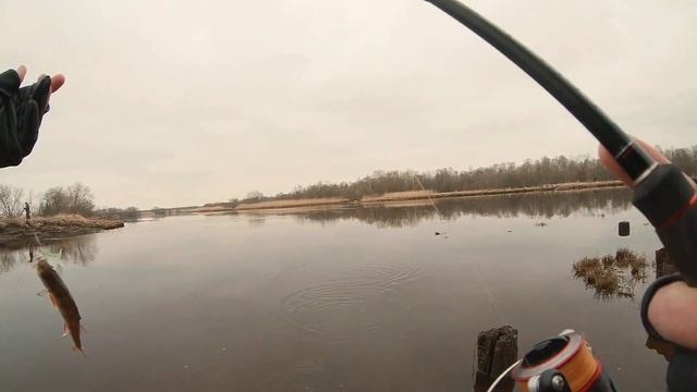НОВАЯ ОСНАСТКА. Грузик "утюг". Окунь на микроджиг. Рыбалка на спиннинг с берега. смотреть онлайн