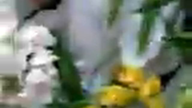 jardin japones смотреть онлайн