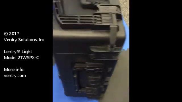 Lentry® Light Tower with 2-Headed LED, Model 2TWSPX-C смотреть онлайн