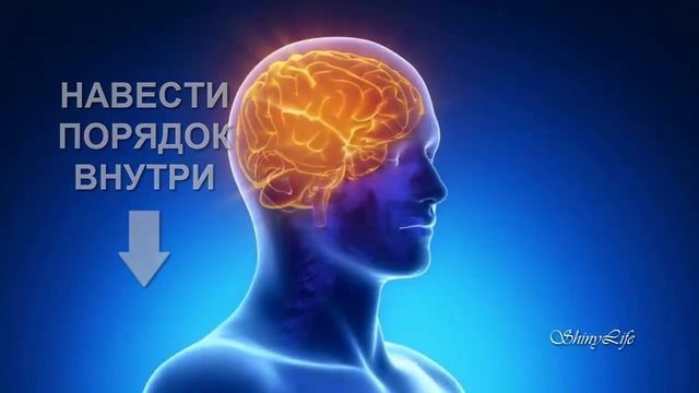 Сделайте это 08.08 в Зеркальную дату Портал желаний ✨ Секрет и Ритуал исполнения желаний?️ смотреть онлайн